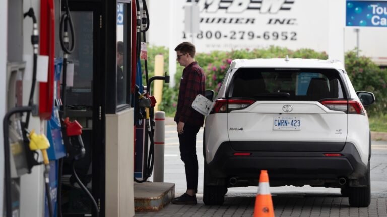 motorist stands at the fuel pump 1 6723615 1705084884936