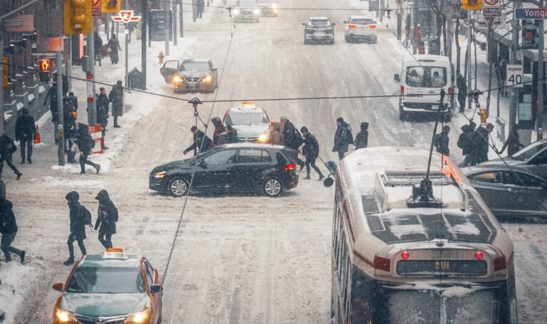 pexels avijit singh 11351369 scaled