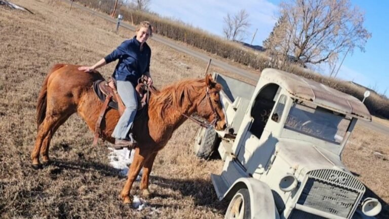 2heartsequinerehabilitation 1 6760055 1707338139827