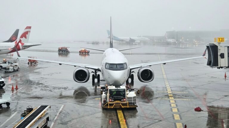 pearson 1 6740082 1706112939985