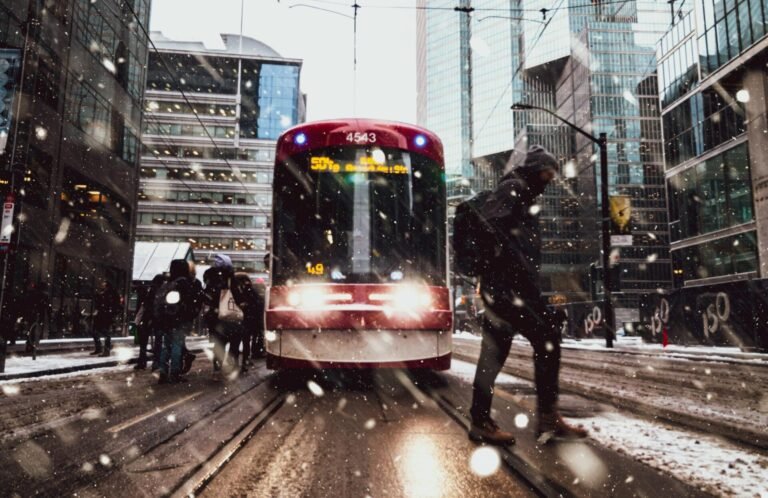 pexels andre furtado 3694352