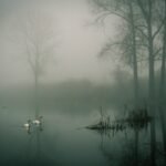 pexels karol wisniewski 845619