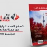 سشب 3