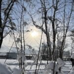 Montreal weather cold and snow on Dec. 7 2023. CREDIT Martin Daigle CityNews Image 3 1536x864 1
