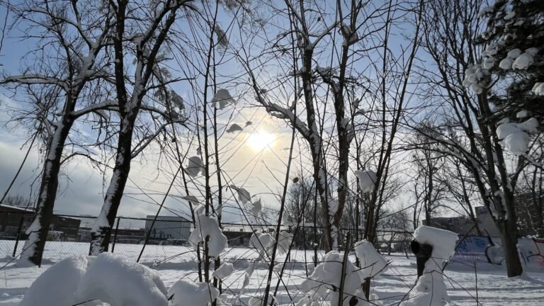Montreal weather cold and snow on Dec. 7 2023. CREDIT Martin Daigle CityNews Image 3 1536x864 1