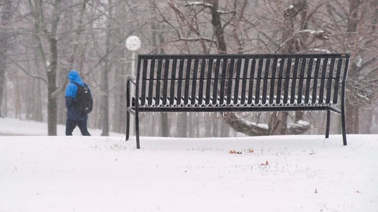 icicles 1 6795180 1709657810723