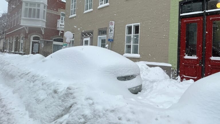 snow in quebec city 1 6802510 1710159565066
