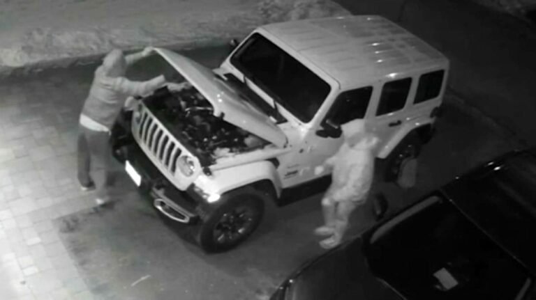 الشرطة في كندا