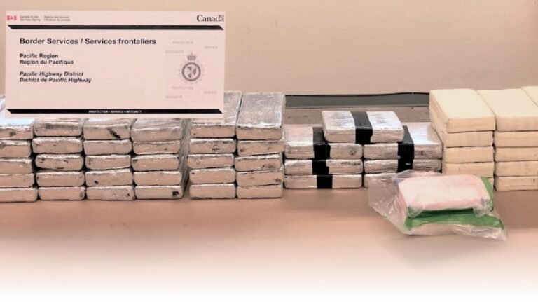 cbsa drug seizsure 1 6833953 1712259282980