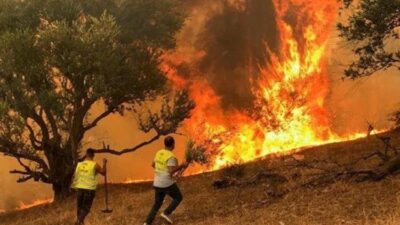إجلاء الآلاف في بريتش كولومبيا بسبب حرائق الغابات