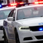 CP117374422 1