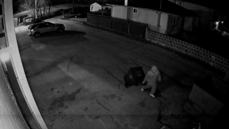 skibicki court exhibit 1 6885381 1715634419308