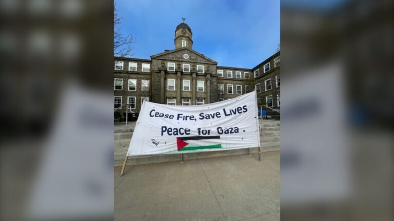 احتجاجات مؤيدة لفلسطين