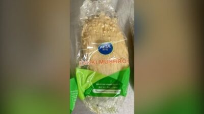 سحب منتجات فطر إينوكي في كندا بسبب تلوث الليستيريا