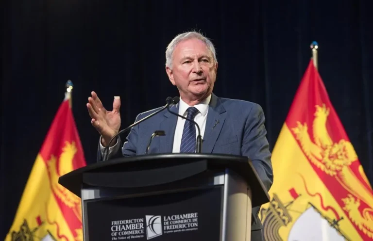 نيو برونزويك