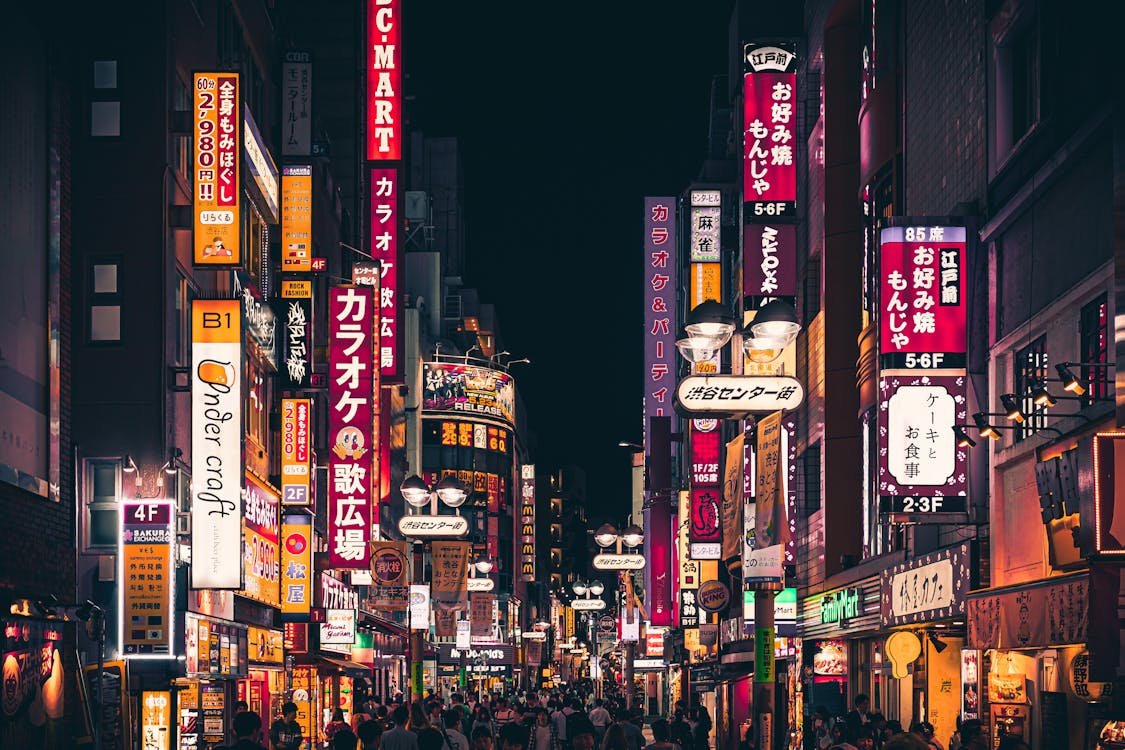 pexels photo 2506923