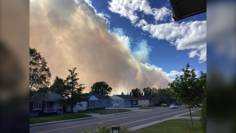 حرائق الغابات