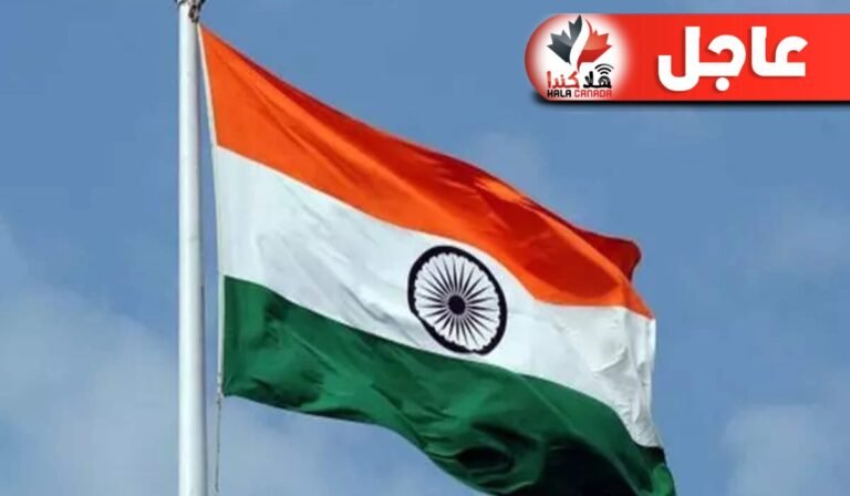 دراسة شجرة الميلاد الطبيعية تسبب الحساسية وتدهور جودة الهواء داخل المنزل 2