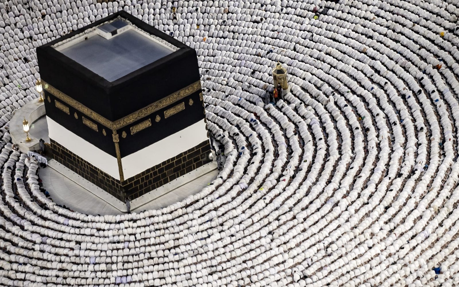 وفيات الحجاج