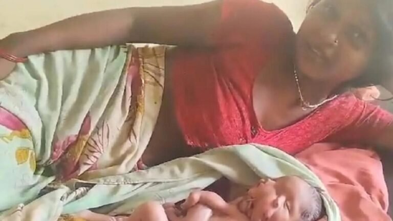 66a3335d423604460b24b10d