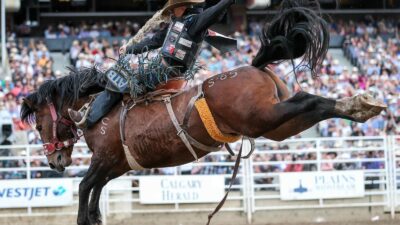 رقم قياسي غير مسبوق … حضور 1.5 مليون شخص في مهرجان Calgary Stampede