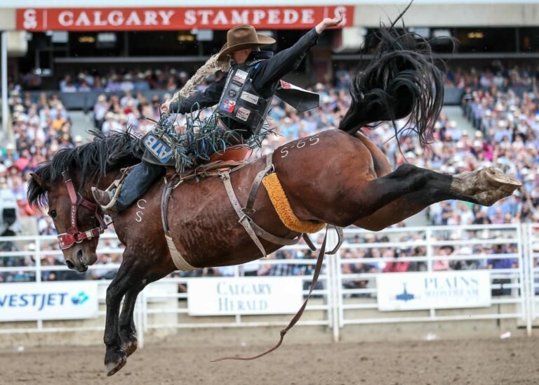 CalgaryStampede2019 CovyMooreBulk 562  1