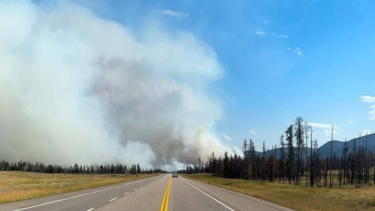 jasper wildfire 1 6976871 1721873121911