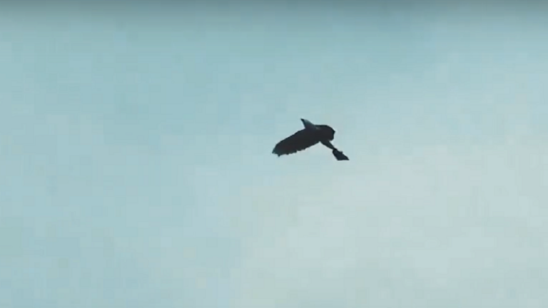 66acafeb423604596f194339