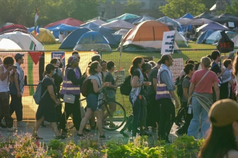 الطلبة المؤيدين لفلسطين