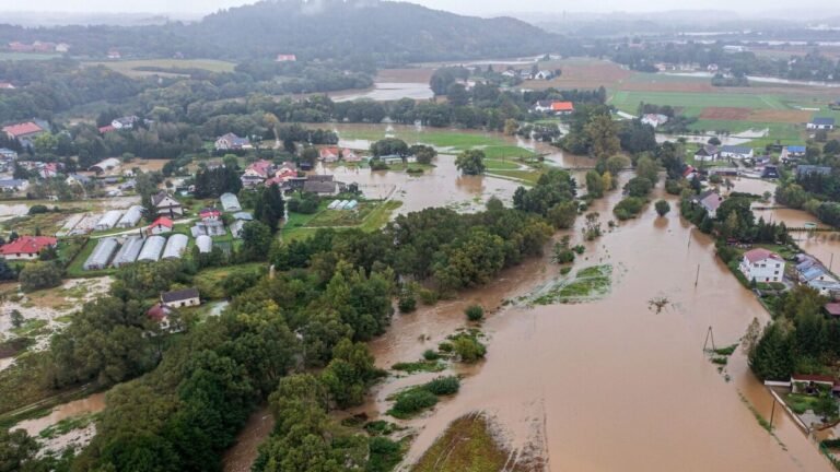 66e6d07a4c59b7218e15b17b