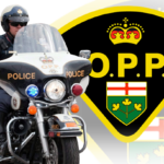 opp 1 6461499 1725843830956 1