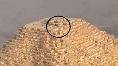 فيديو – كلب فوق أعلى هرم في مصر يثير جدلا
