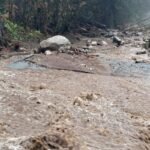 coquitlam mudslide 1 7080488 1729457535497