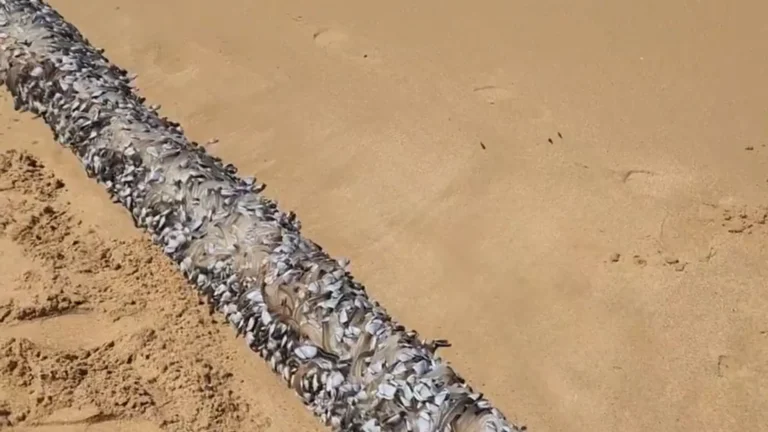 1094424754 21 0 1436 796 1920x0 80 0 0 6aa283f9a1b50fdb5d7ab1587cfab41fpng