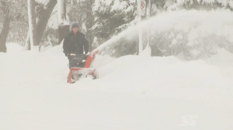 Screenshot 2024 11 30 185028