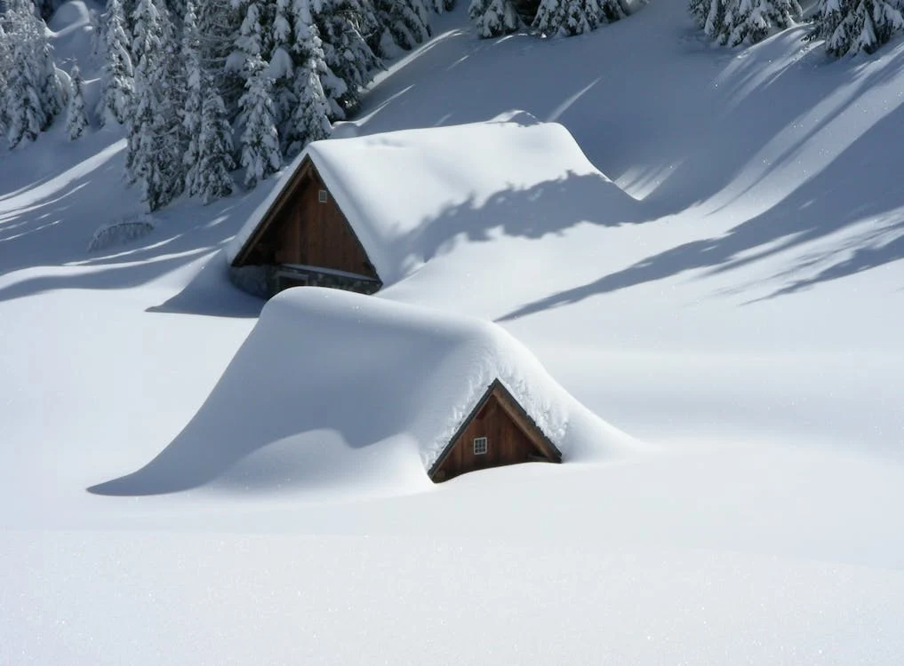 alm friuli snow snowfall 45204