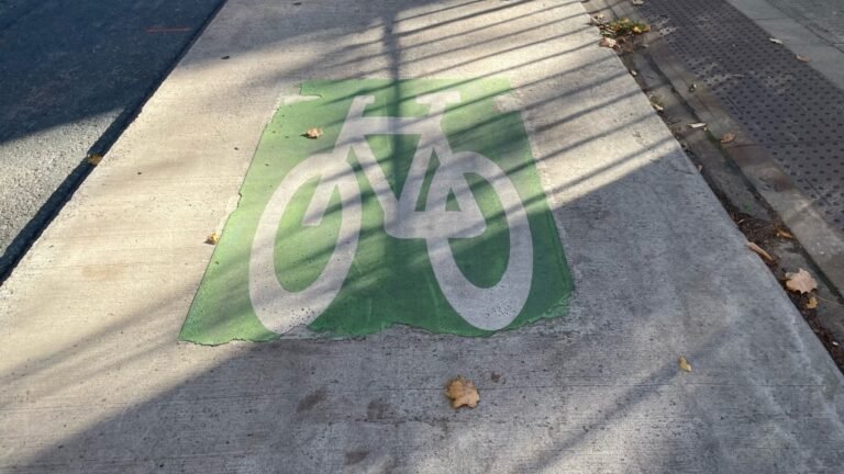 bike lane 1 7092024 1730294790788