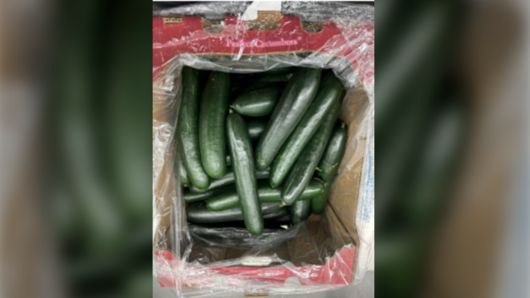cucumber recall ontario 1 7127928 1732890371097