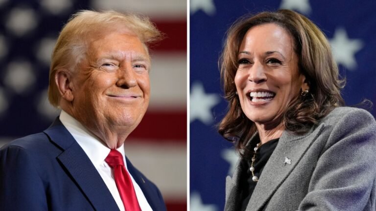 donald trump and kamala harris 1 7096480 1730549643411