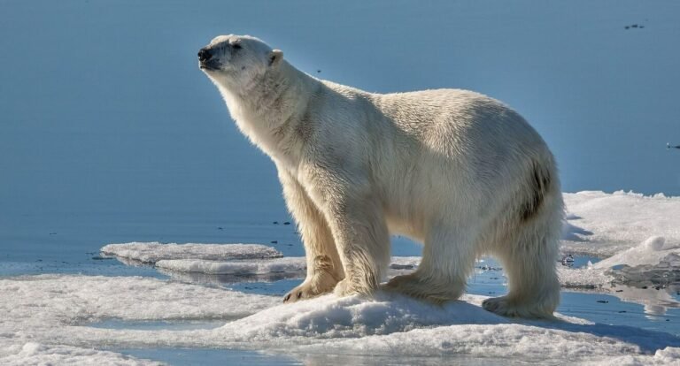 Screenshot 2024 12 04 071314