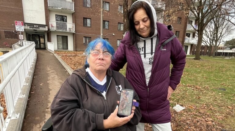 concerned about parvo 1 7145414 1734131812582