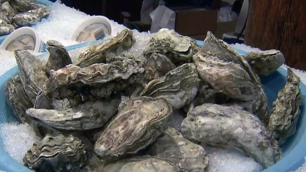 oyster 1 3636397 1648433870642