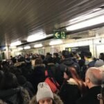 ttc 31834