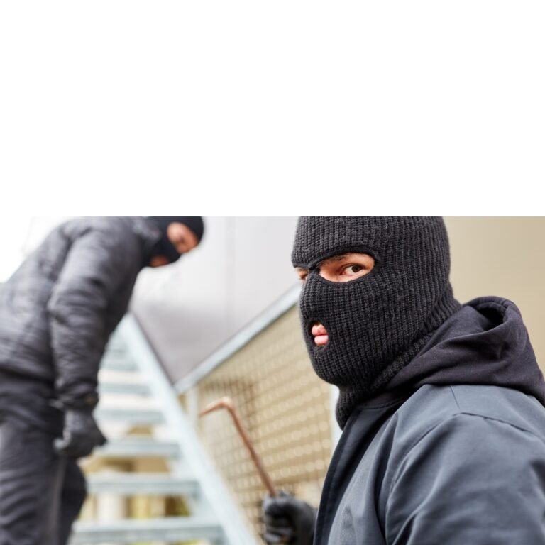 السرقات في كندا تخطف الأمان وتدمر الحلم الكندي 1