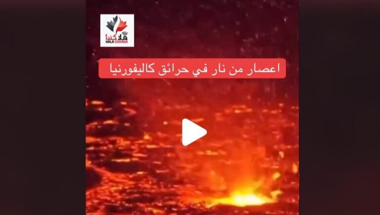 Screenshot 2025 01 15 072931