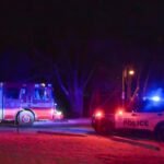 ashbridges bay rescue