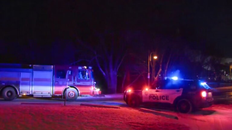 ashbridges bay rescue