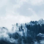 pexels photo 167699