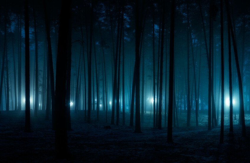 67b867294c59b736842e3e7e