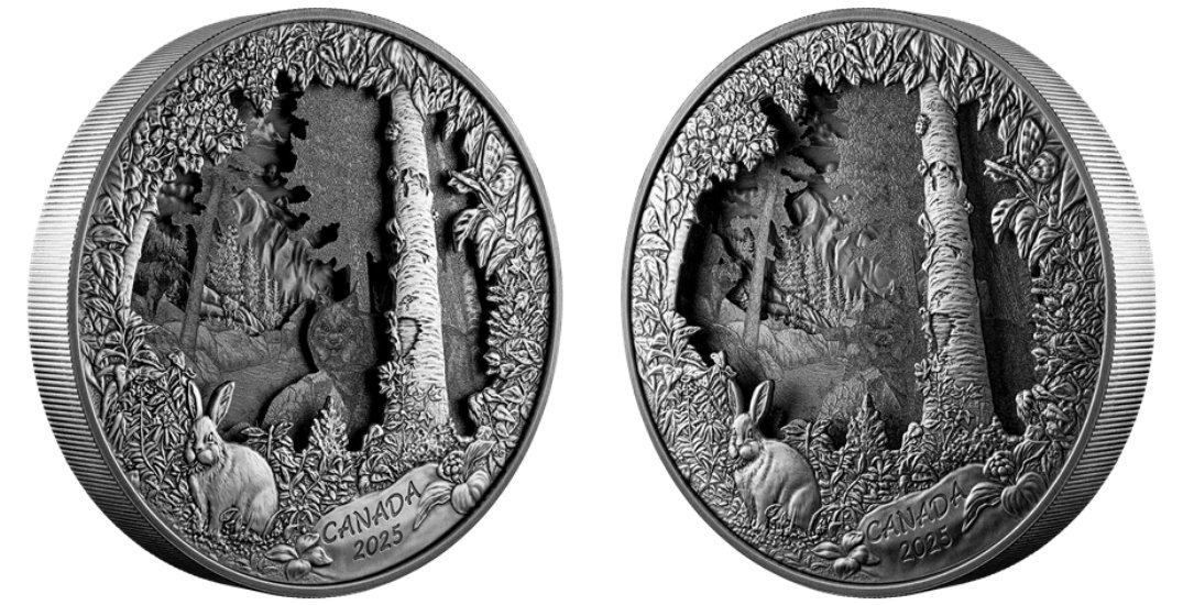 coin 20